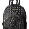 Brahmin Melbourne Mini Dartmouth Backpack 2 Brahmin Melbourne Mini Dartmouth Backpack -Tumi Shop 81X6rYCqVJL. AC SR736920